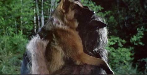 Fangtastic Film Werewolf Winter Bad Moon 1996