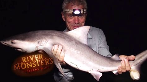 The bull shark ( carcharhinus leucas ) is clearly one of the deadliest of the river monsters because it is a highly aggressive shark that can travel into freshwater. Catching A Freshwater Bull Shark | SHARK | River Monsters ...