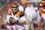 Bengals news: Jeff Driskel dealing with injury suffered at end of last ...
