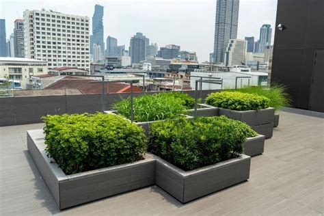 Plants For Rooftop Gardens A Complete Guide To Your Rooftop Oasis