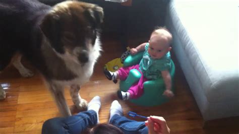 Baby Laughs At Dog Eating Bubbles Youtube