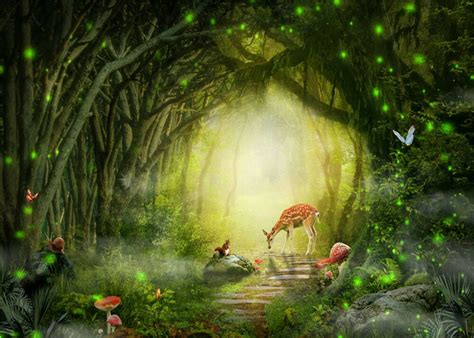 Details About 10x8ft Vinyl Photo Background Fairy Tale Forest Trees