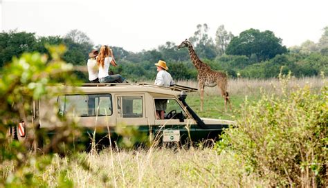 Kenya A Safari In The City Travel The Guardian