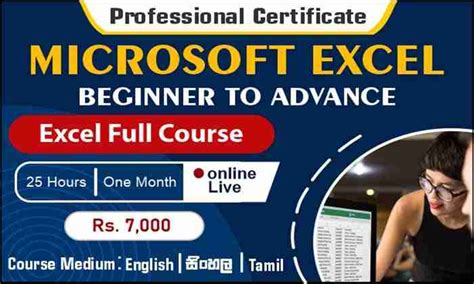 Professional Certificate In Microsoft Excel Beginner To Advance Full
