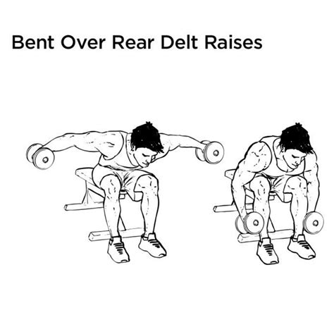 The Best Rear Delt Exercises For Epicly Strong Shoulders Radical
