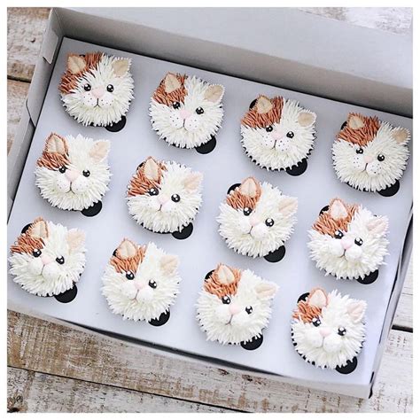 Miauw Miauw 😊 Cat Cupcakes Cupcake Cakes Animal Cakes