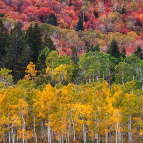 Utah And Ogden Valley Landscape Photography By Rory Wallwork