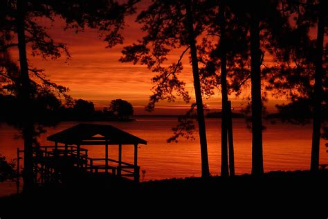 Sunset Silhouette Of Trees Near Body Of Water Dawn Image Free Photo