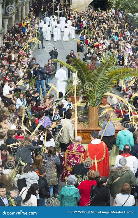 Palm Sunday In Galicia Spain Editorial Image Image Of Christianity