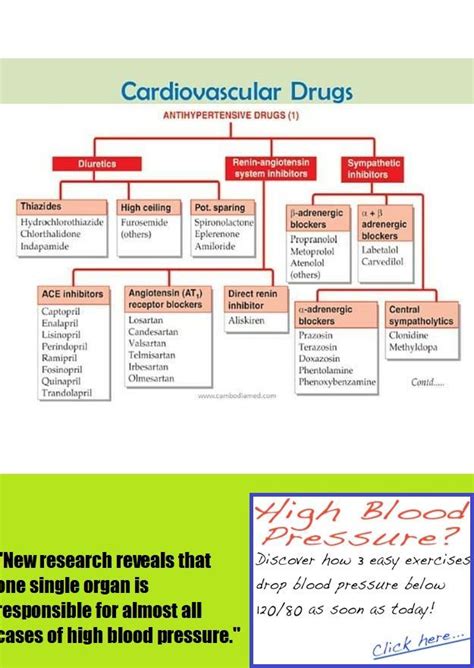 The pathophysiologic basis of drug therapy. Pin on Study Time!