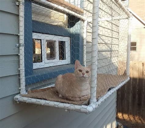 Best sellers gift ideas new releases whole. My girlfriend and I made this catio for our window ...