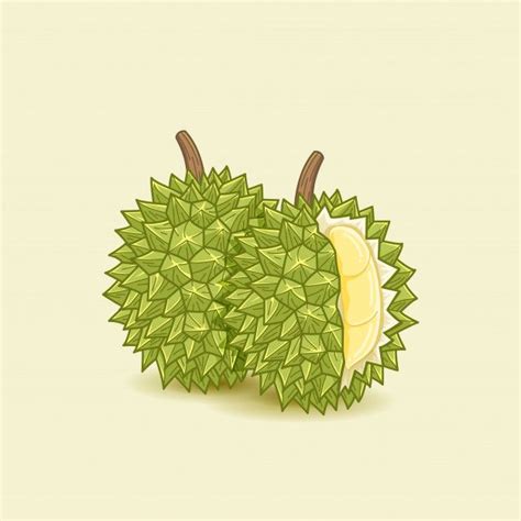 Premium Vector Durian Food Illustration Food Illustrations Fruit