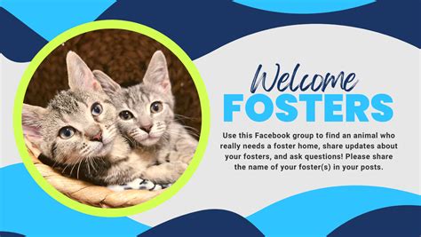 Lawrence Humane Society Fosters