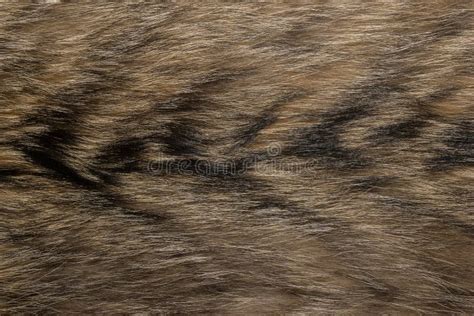 Natural Animal Fur Background Texture Brown Wool Close Up Stock Image