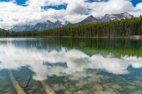Herbert Lake Alberta Canada Stock Photo Image Of Landscape Park