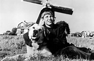 A Dog of Flanders (1935) - Turner Classic Movies