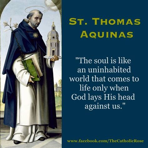St Thomas Aquinas Saint Quotes Catholic Catholic Faith Saint