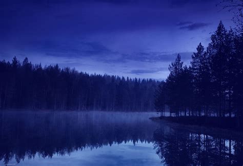 Imagen Forest Lake At Night Wiki Karukami Fandom Powered By Wikia