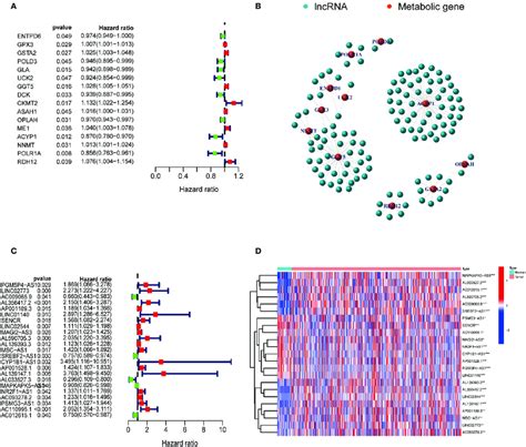 Identification Of Metabolic Lncrnas A Metabolism Related Genes