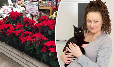 Cat Owner Issues Warning After Her Kitty Developed Poisoning Uk