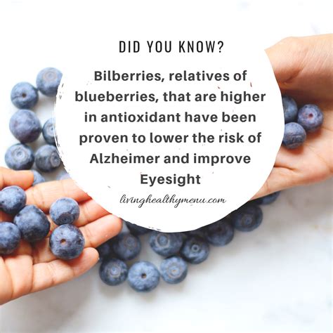 Bilberry A Powerful Antioxidant And 4 Proven Health Benefits Health