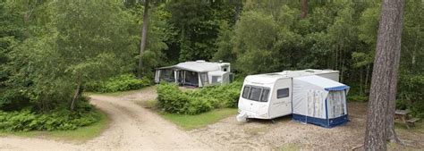 National forest campground guide web site. Roundhill - New Forest Campsite | Explore Hampshire from ...
