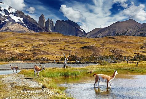 Explore Mendoza El Calafate And Torres Del Paine 14 Days Kimkim