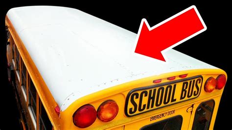 Por Qué Los Autobuses Escolares Tienen Techos Blancos Youtube
