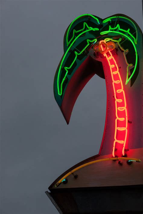 Terrysdiary Neon Palm Tree Neon Signs Neon Sign Art