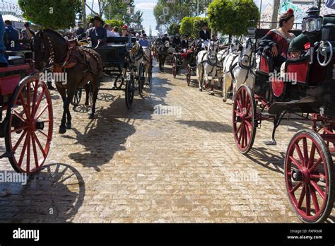 Horse Drawn Carriages At The Feria De Abril April Fair De Sevilla In