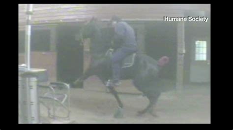 Exposed By Graphic Video Top Horse Trainer Pleads Guilty To Cruelty