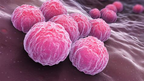 Chlamydia Could Spread To The Gut Via Oral Sex Iflscience