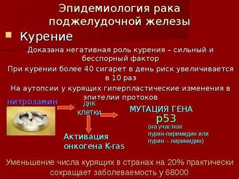Поджелудочная железа расстройства диета Поджелудочная Железа Рак Диета — Похудение Диета Правильное Питание Поджелудочная Железа Рак Диета — Похудение Диета Правильное Питание Поджелудочная железа расстройства диета