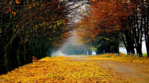 Autumn Scenery Wallpapers Pictures Images