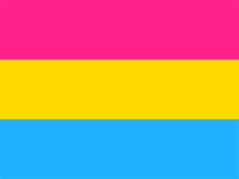 Buy Pansexual Pride Flag Online Printed And Sewn Flags 13 Sizes