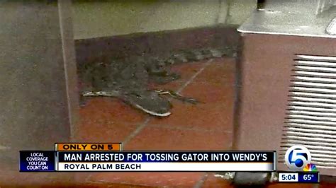 Some Guy In Florida Threw An Alligator Through A Wendys Drive Through Window For The Win