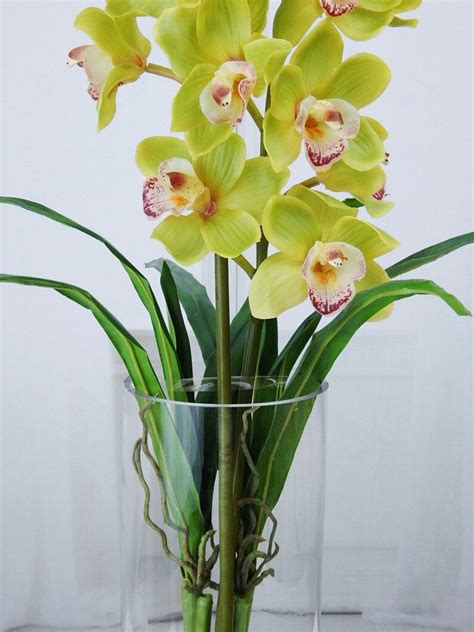 Green Cymbidium Orchids Plant Acrylic Water Faux Silk Etsy