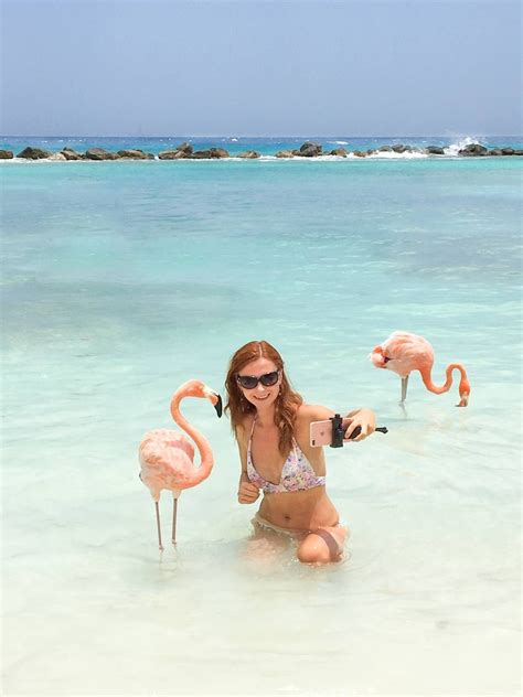 How To Visit Flamingos In Aruba Renaissance Private Island