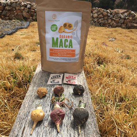 We typically recommend simply blending maca powder in smoothies or simple drinks. 3 - What are the different forms of maca to consume ...