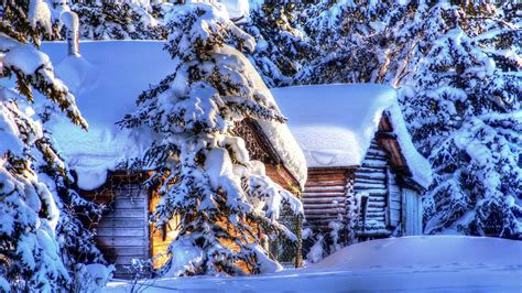 Free Download Alaska Winter Landscape Snow Forest Spruce Huts