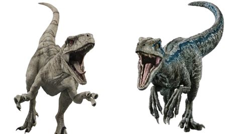 Atrociraptor Vs Velociraptor Which Raptor Will Win In A Fight
