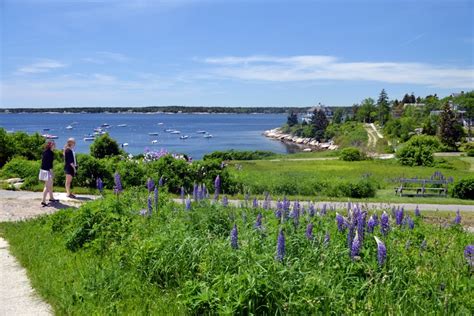 5 Maine Islands To Visit This Summer New England
