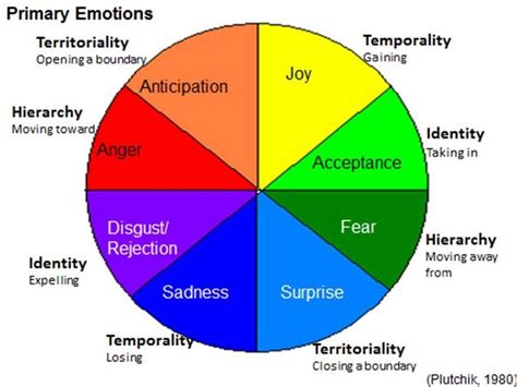 Primary And Secondary Emotions Diagram