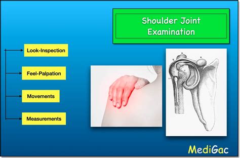 What Are The Examinations Of Shoulder Joint Medigac