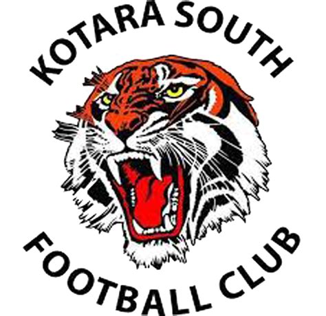 Watch Kotara South Fc Matches Live On Bartv Sports