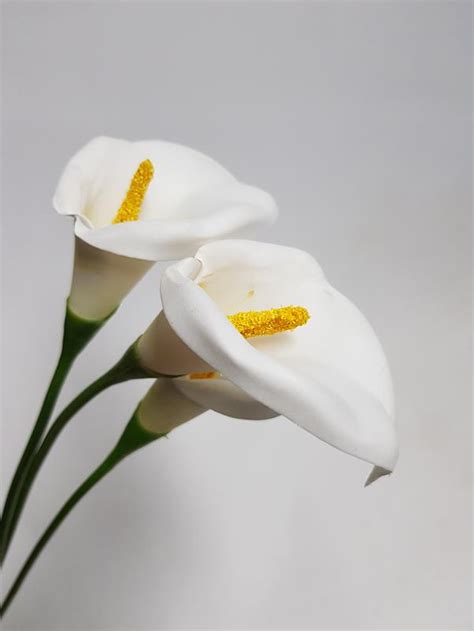 Artificial Calla Lily White 56cm Desflora