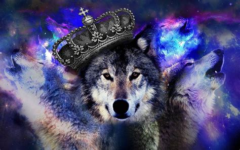 Cool Blue Wolf Wallpapers Wolf Wallpaperspro