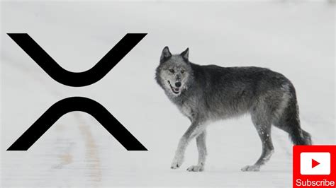 Ripple/XRP News: The WOLVES of Crypto - YouTube