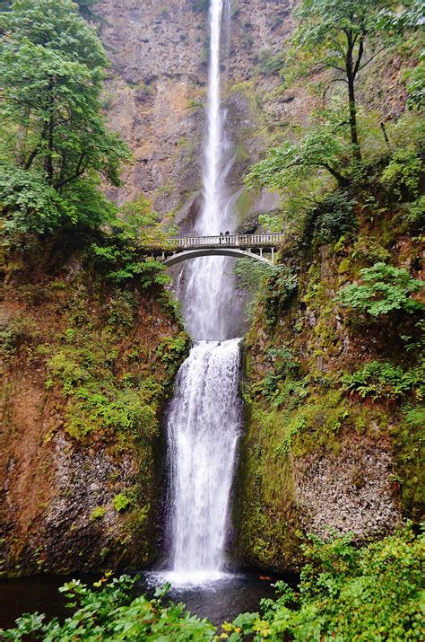 Having a disability or decreased mobility doesn't always mean you can't exercise. Top 10 U.S. Vacations for Seniors With Limited Mobility ...