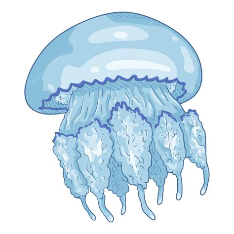 Premium Vector Vector Cartoon Jellyfish On White Background